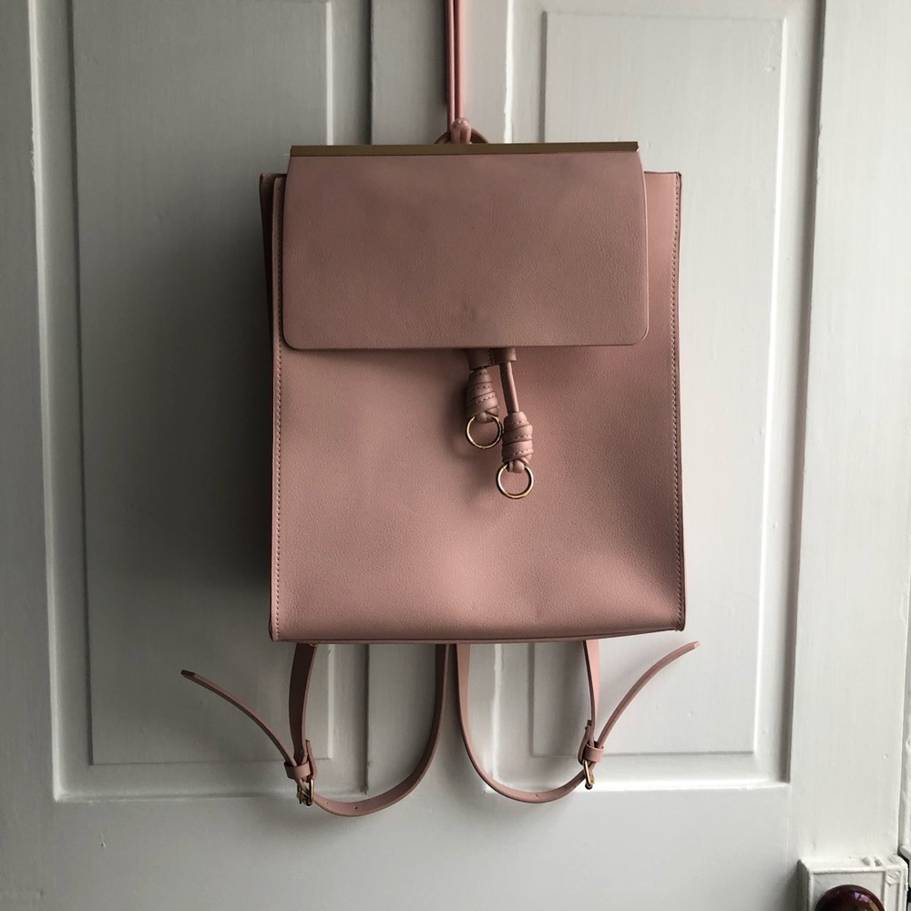 Zara bagback